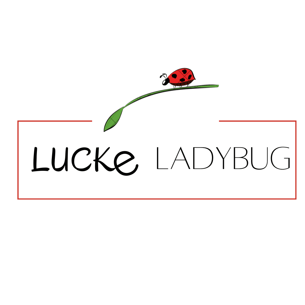 Lucke Ladybug logo featuring a red ladybug on a green leaf with unique online fashion styles branding