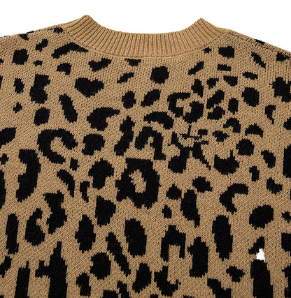 Leopard Print Sweater Women Trendy Style