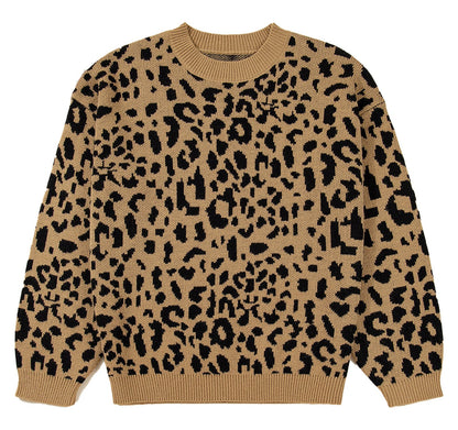 Leopard Print Sweater Women Trendy Style