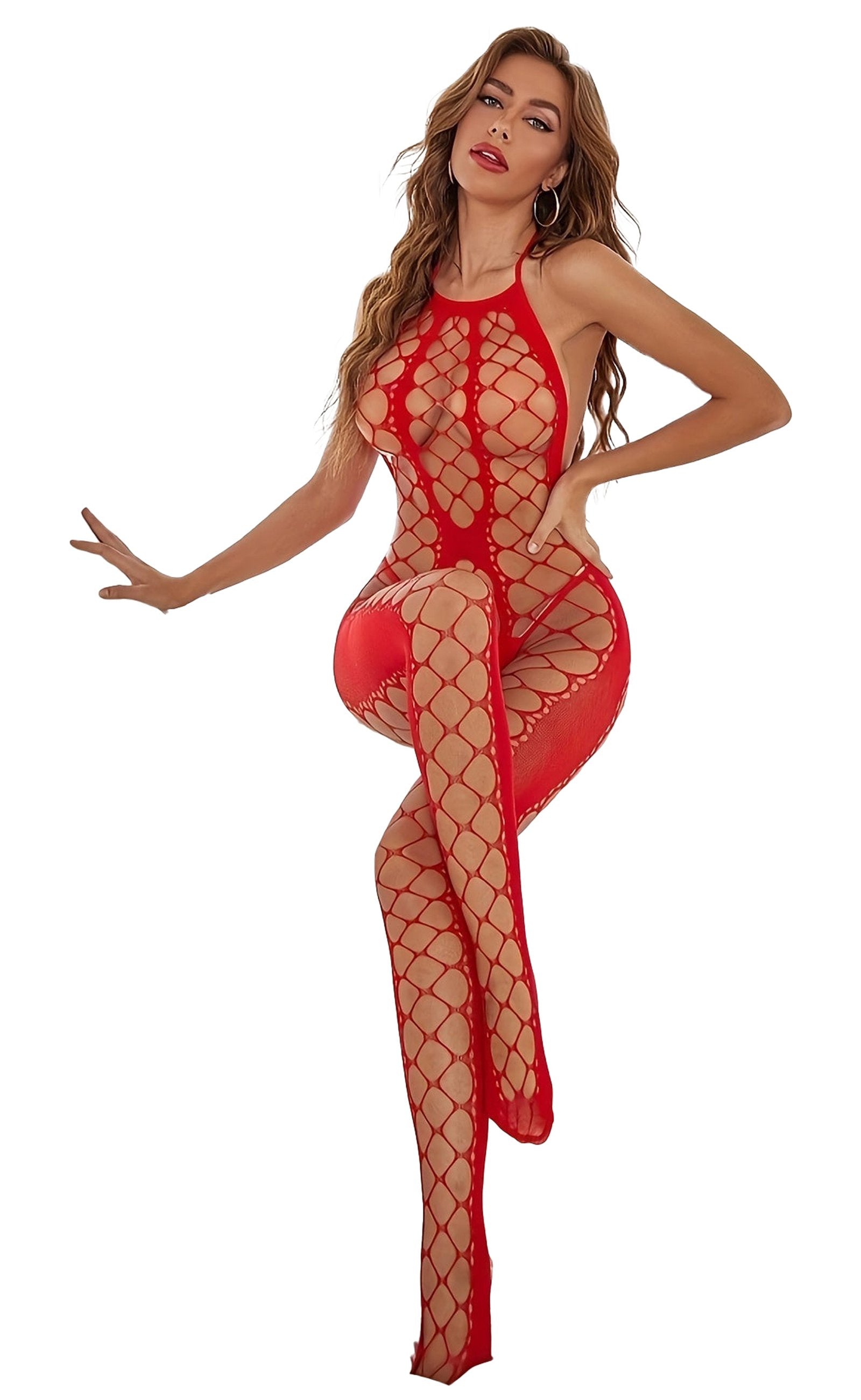 Sultry Fishnet Bodystocking Detail Shot