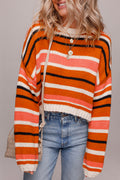 Orange Stripe Cropped Sweater For Trendy Style