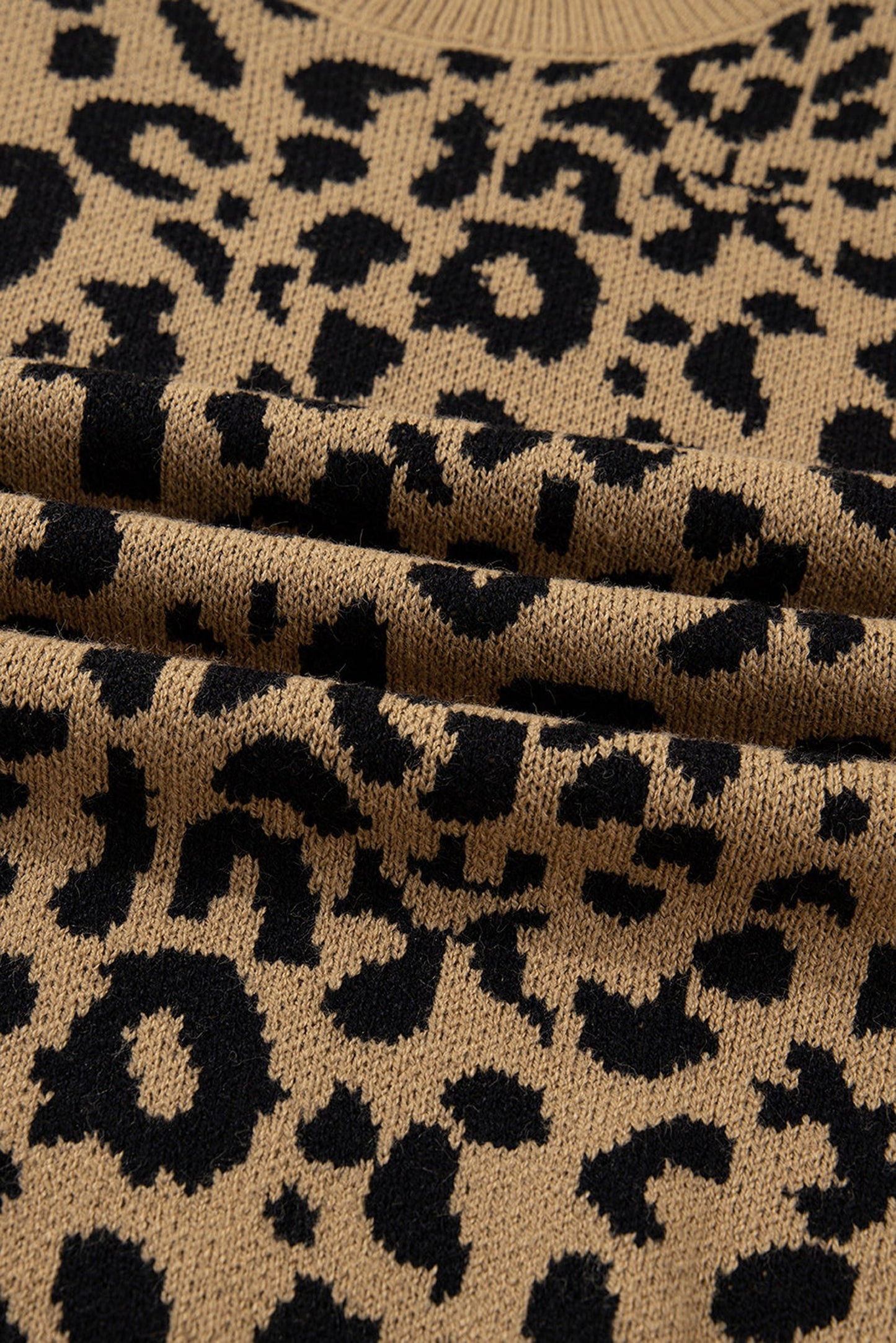 Leopard Print Sweater Women Trendy Style