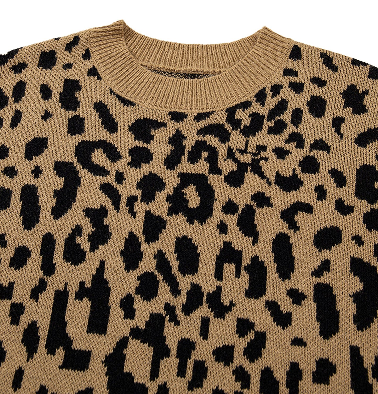 Leopard Print Sweater Women Trendy Style