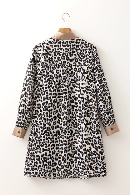 Leopard Print Flared Dress Long Sleeve Mini