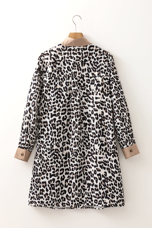 Leopard Print Flared Dress Long Sleeve Mini