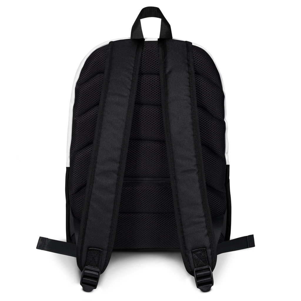 Lluvia Daypack – Sleek All-Weather Backpack for Everyday Travel