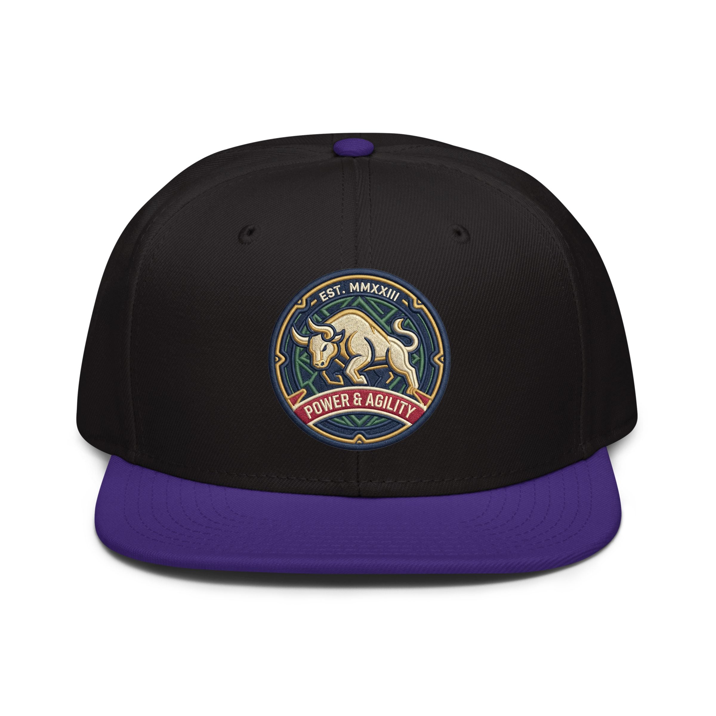 Tank Bigsby Embroidered Snapback Hat - Bold Athletic Streetwear Cap