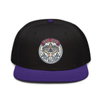 Red Sox Game Today Embroidered Snapback Hat - Boston Baseball Fan Cap