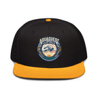 Swimming Embroidered Snapback Hat