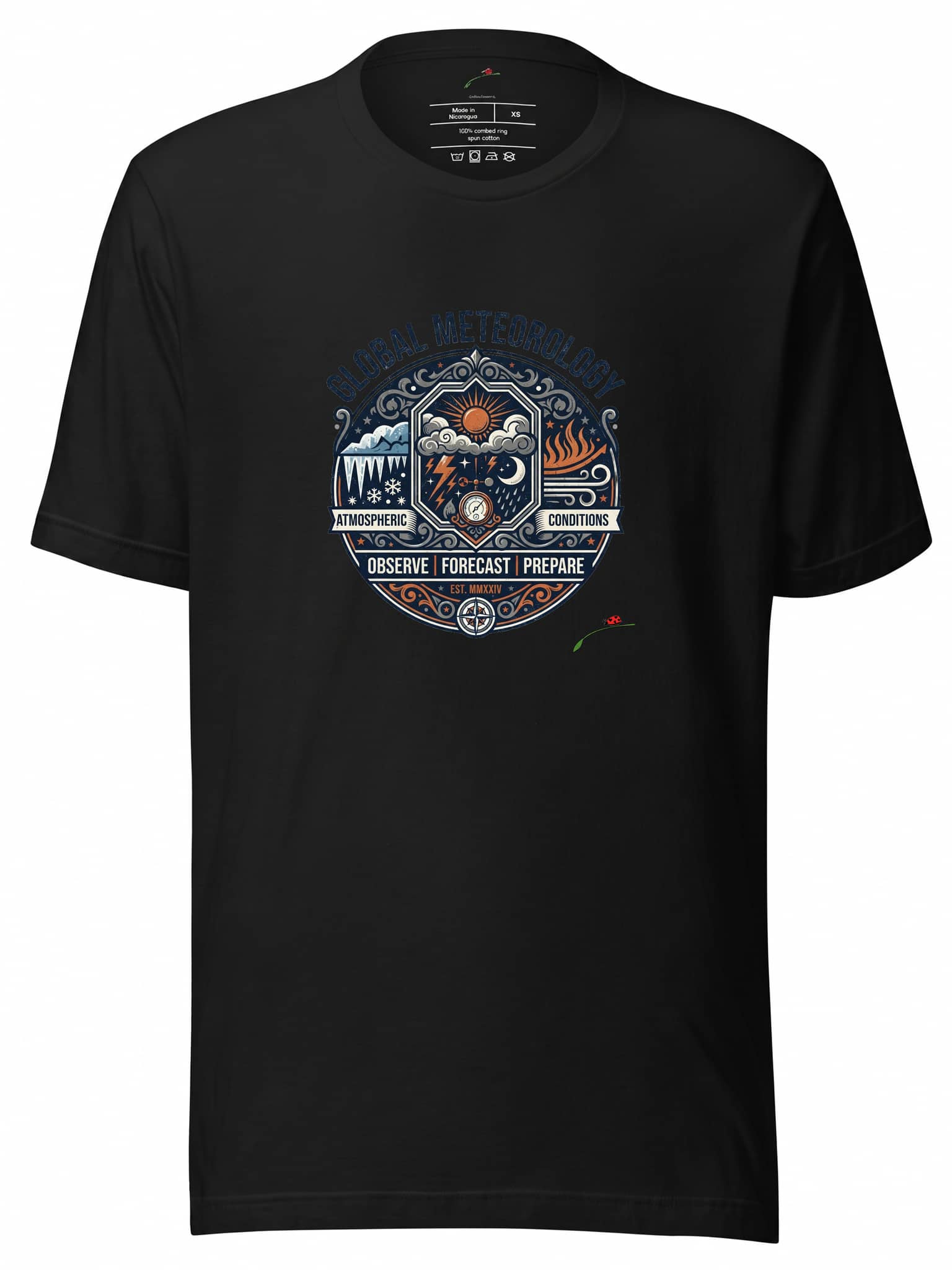 Weather Game Graphic T-Shirt | Commemorative Football Fan Tee