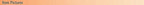 Two-Tone Bikini for Stylish Summer Looks