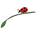 LuckeLadybug LLC - Home