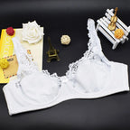 Underwire Bra with Lace Elegance