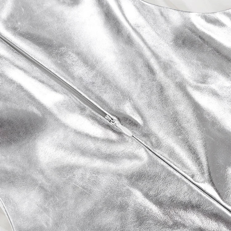 Silver Fashion and Bodycon Dress