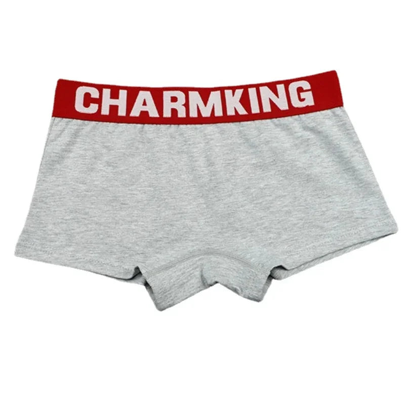 Womens Boxer Briefs with Wide Waistband
