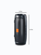 LuckeLadybug portable wireless speaker with bluetooth with sleek design and easy-to-use controls