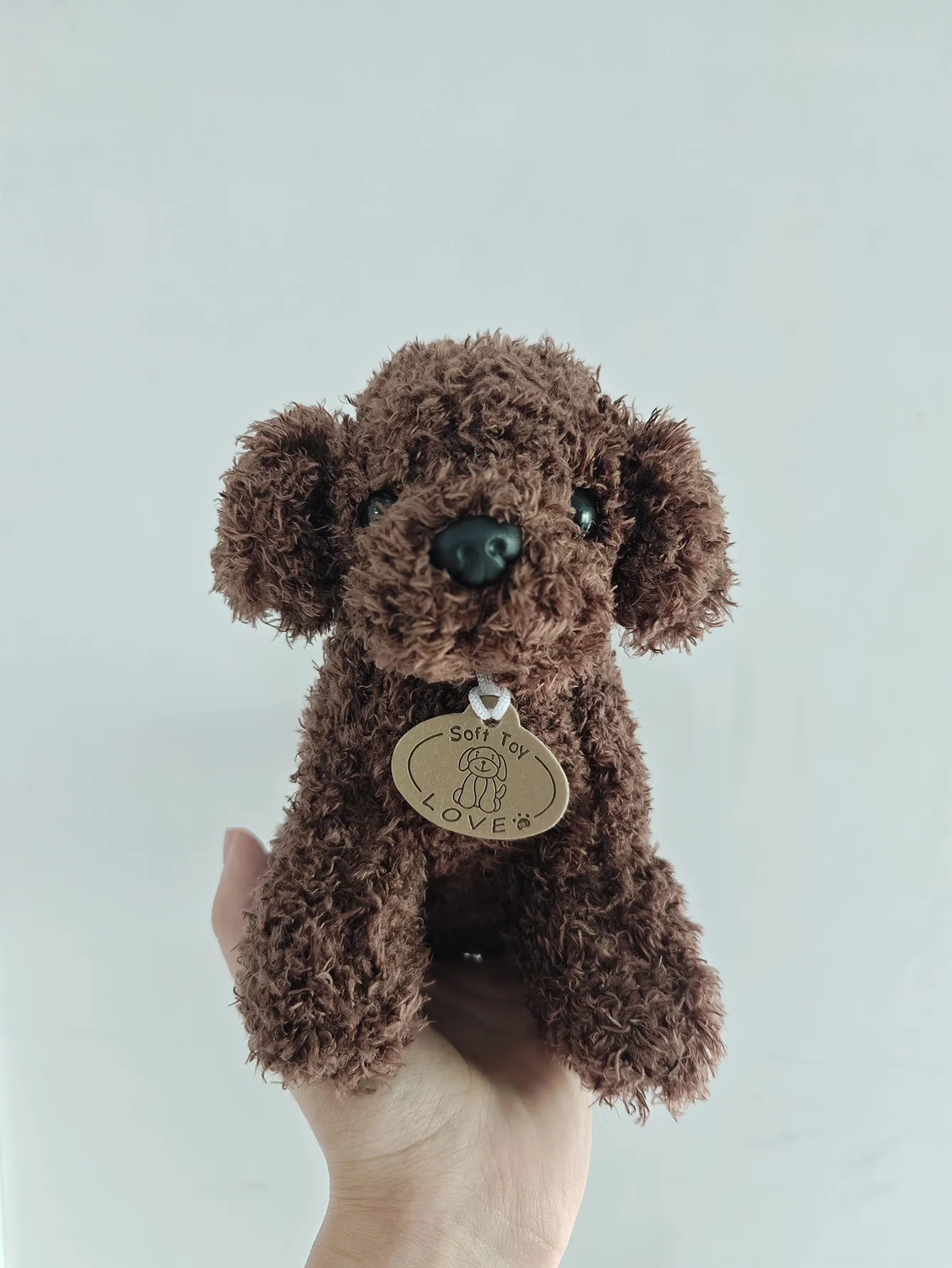 teddy