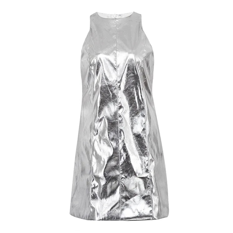 Silver Fashion and Bodycon Dress