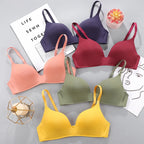 Push Up Bra with Underwire Support
