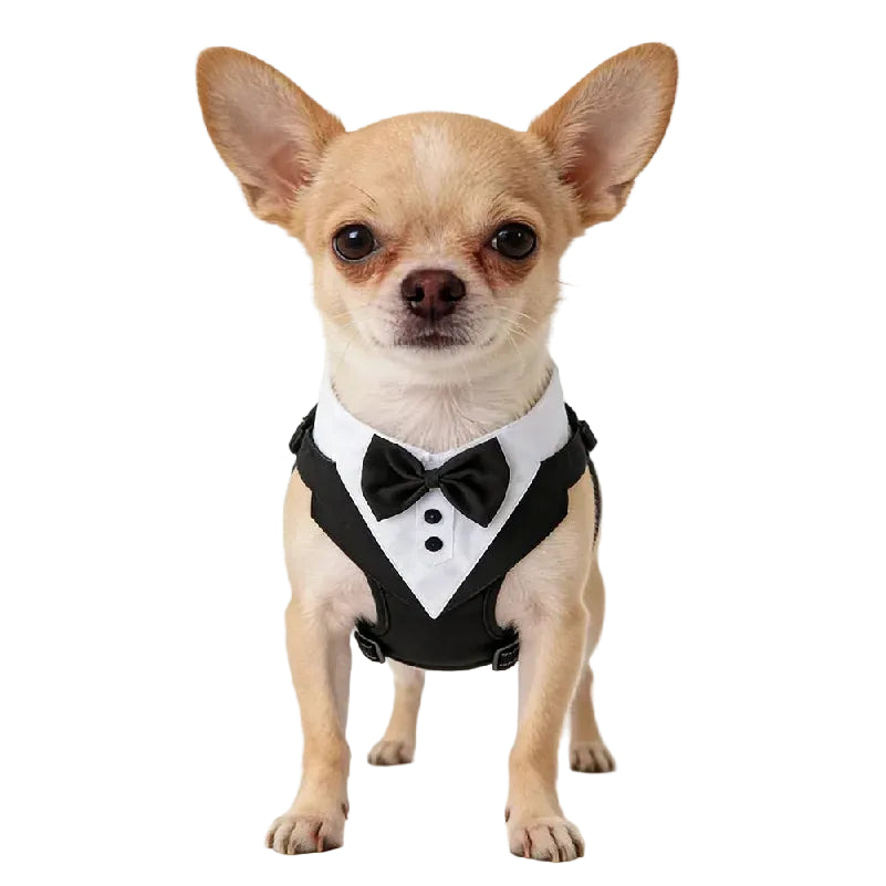Tuxedo