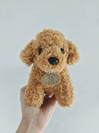teddy