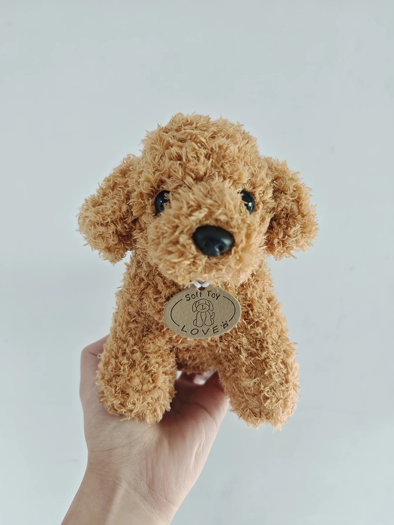 teddy