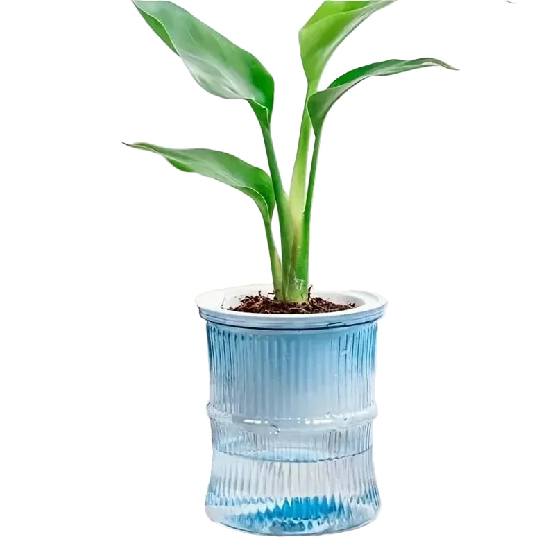 levitating flower pot