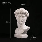 European Modern David Head Resin Art Sculpture