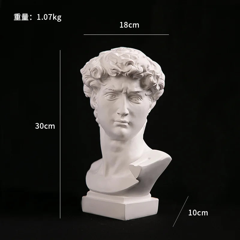 European Modern David Head Resin Art Sculpture