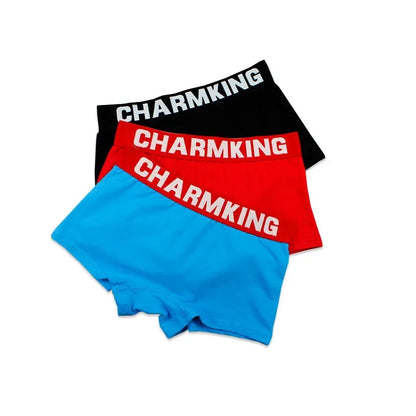 Womens Boxer Briefs with Wide Waistband