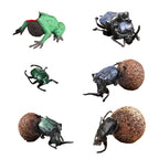 Oenux Realistic Frog Dung Beetle Figurines Darwin Frog Leaf Frog Scarab Beetle Models
