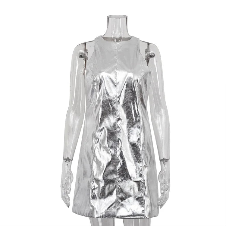 Silver Fashion and Bodycon Dress