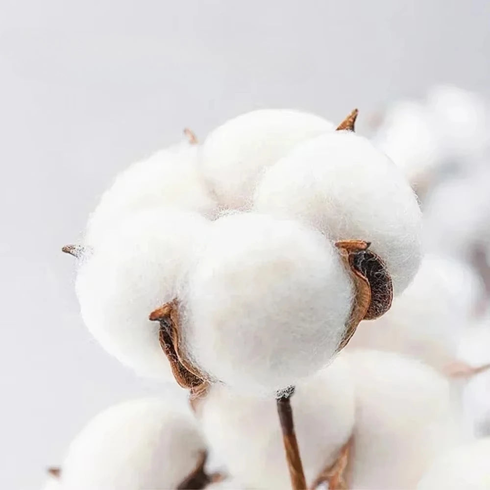 Mens T Shirt Graphics - Public Enemy Style