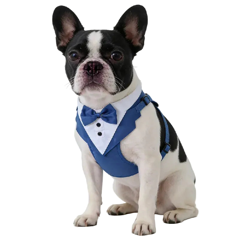 Tuxedo