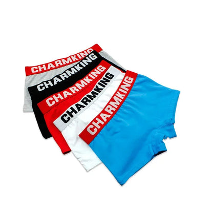 Womens Boxer Briefs with Wide Waistband