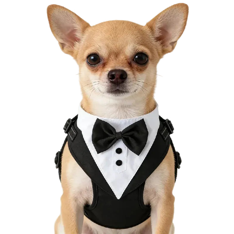 Tuxedo