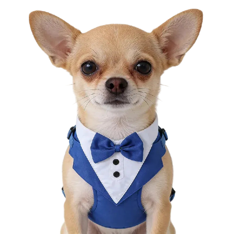 Tuxedo