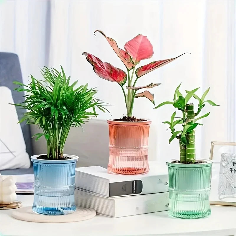 levitating flower pot