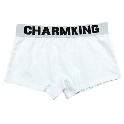 Womens Boxer Briefs with Wide Waistband