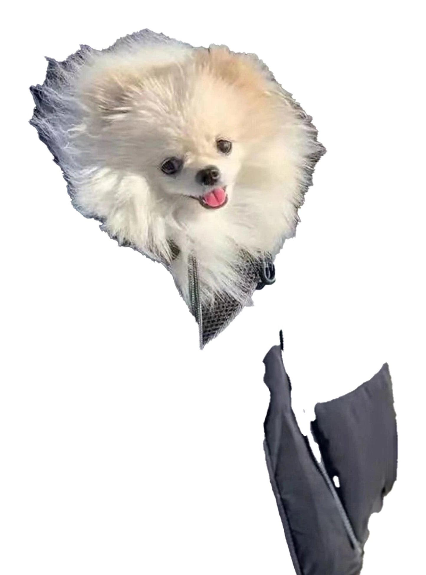 Dog Sling Carrier Bag For Pet Comfort