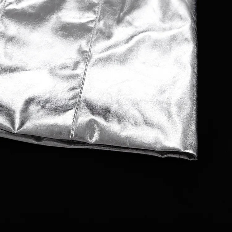 Silver Fashion and Bodycon Dress