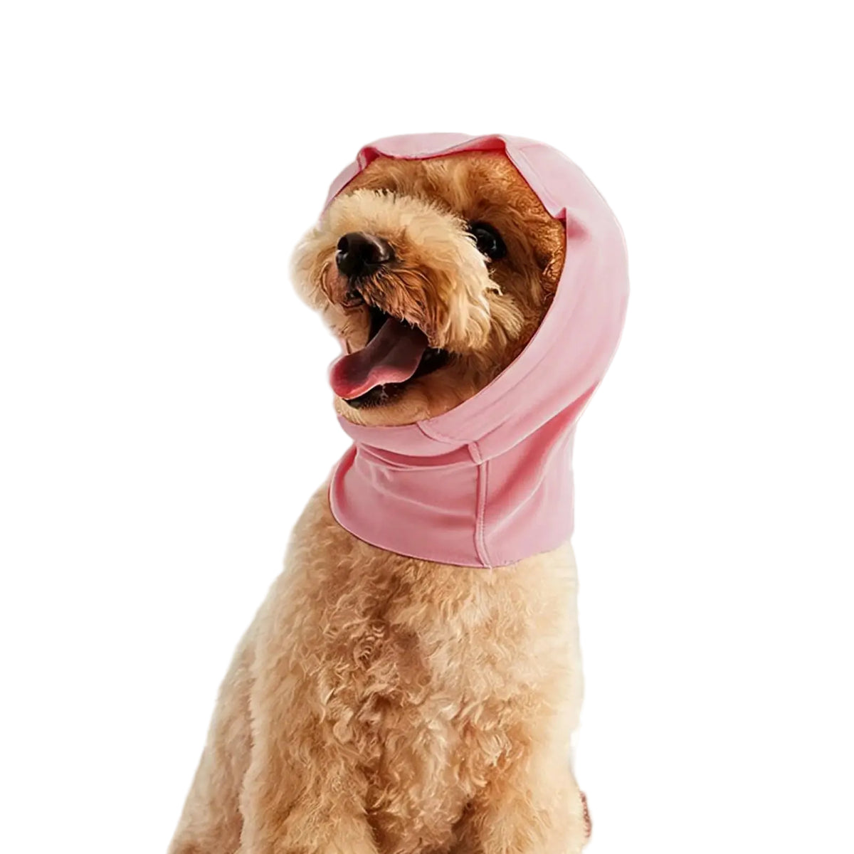 Snood