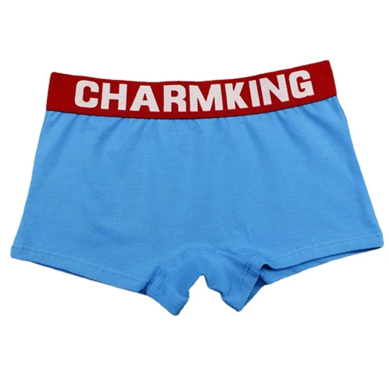 Womens Boxer Briefs with Wide Waistband