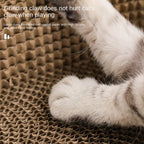cat scratching pad