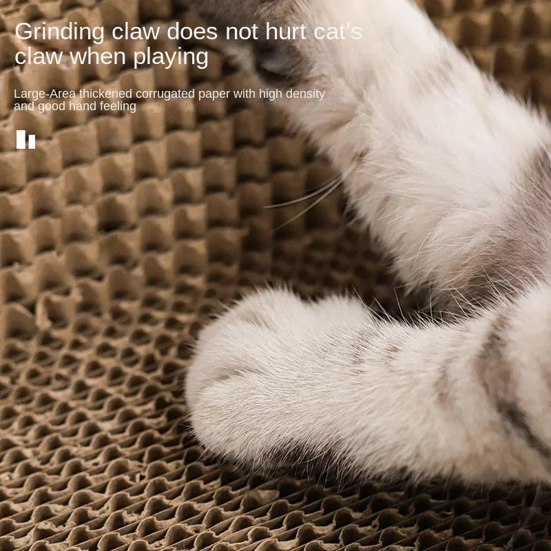 cat scratching pad