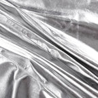 Silver Fashion and Bodycon Dress
