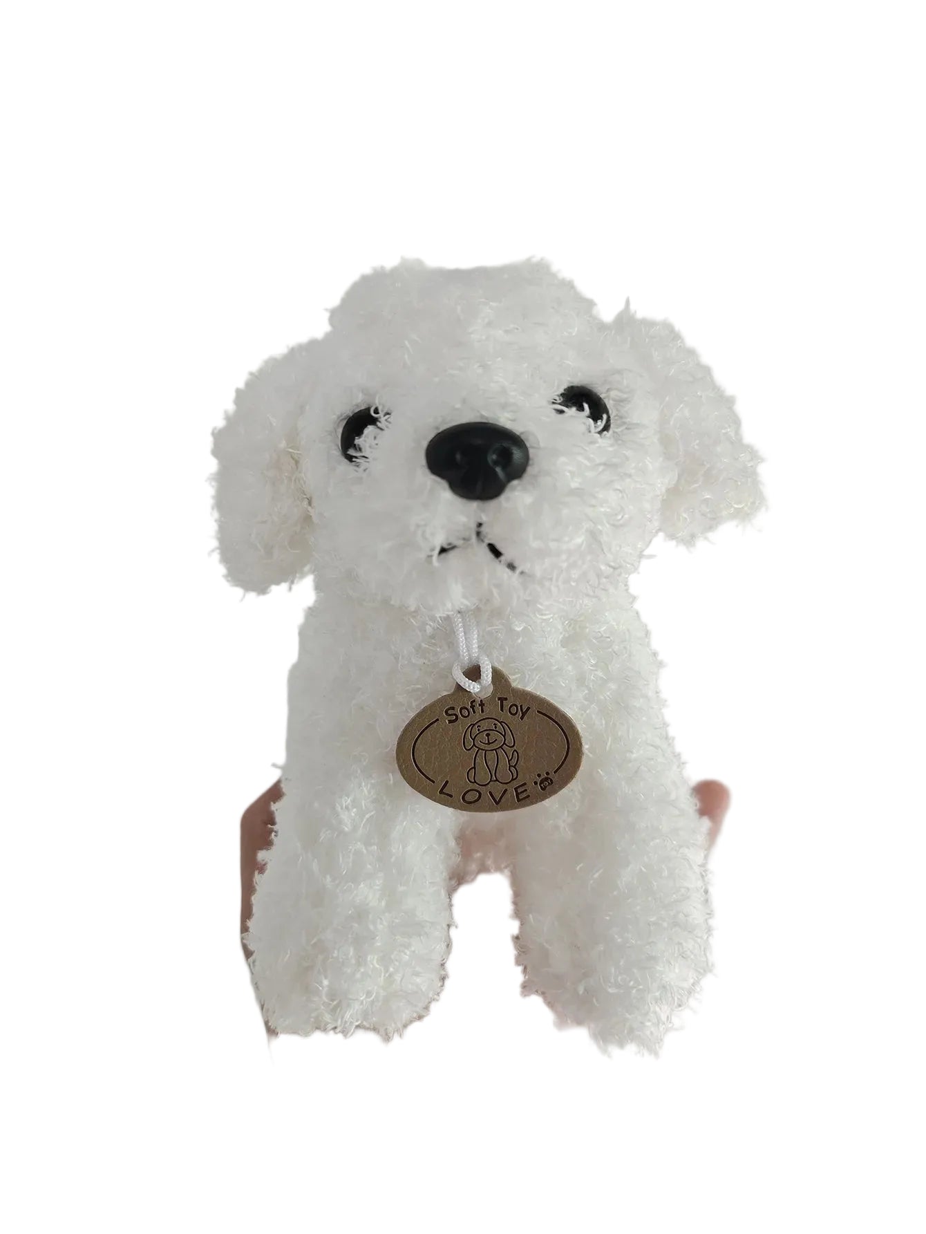 teddy