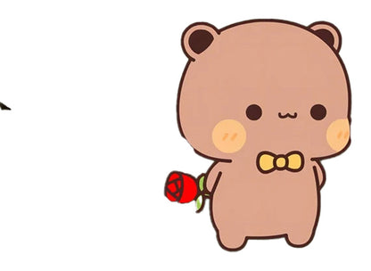 Funny DuDu Bear & Panda BuBu T-Shirt On Hanger