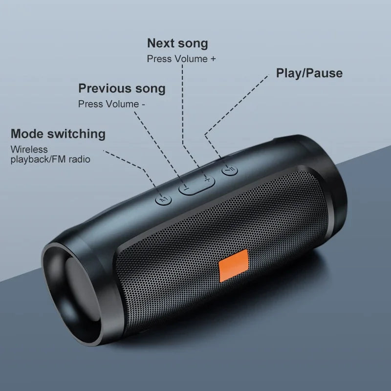 LuckeLadybug portable wireless speaker with bluetooth featuring playback controls and FM radio mode
