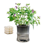 levitating flower pot